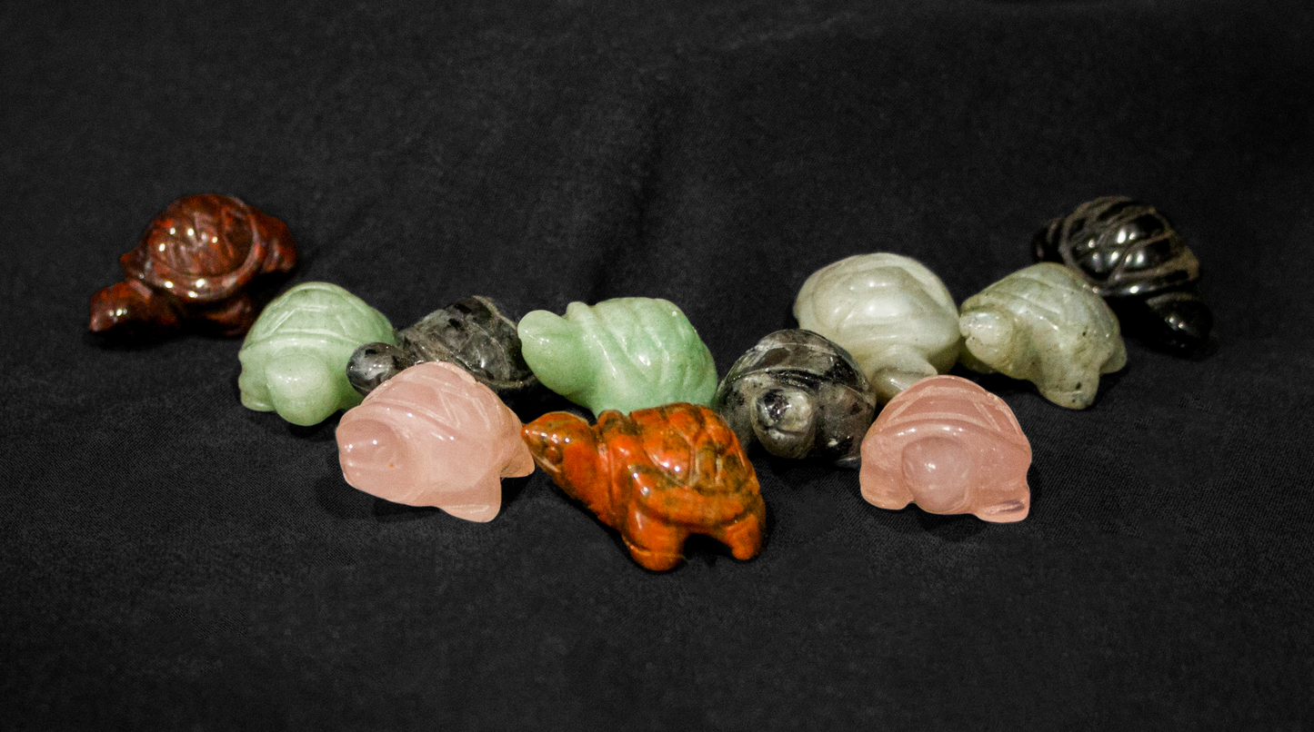 Small Turtle Carving