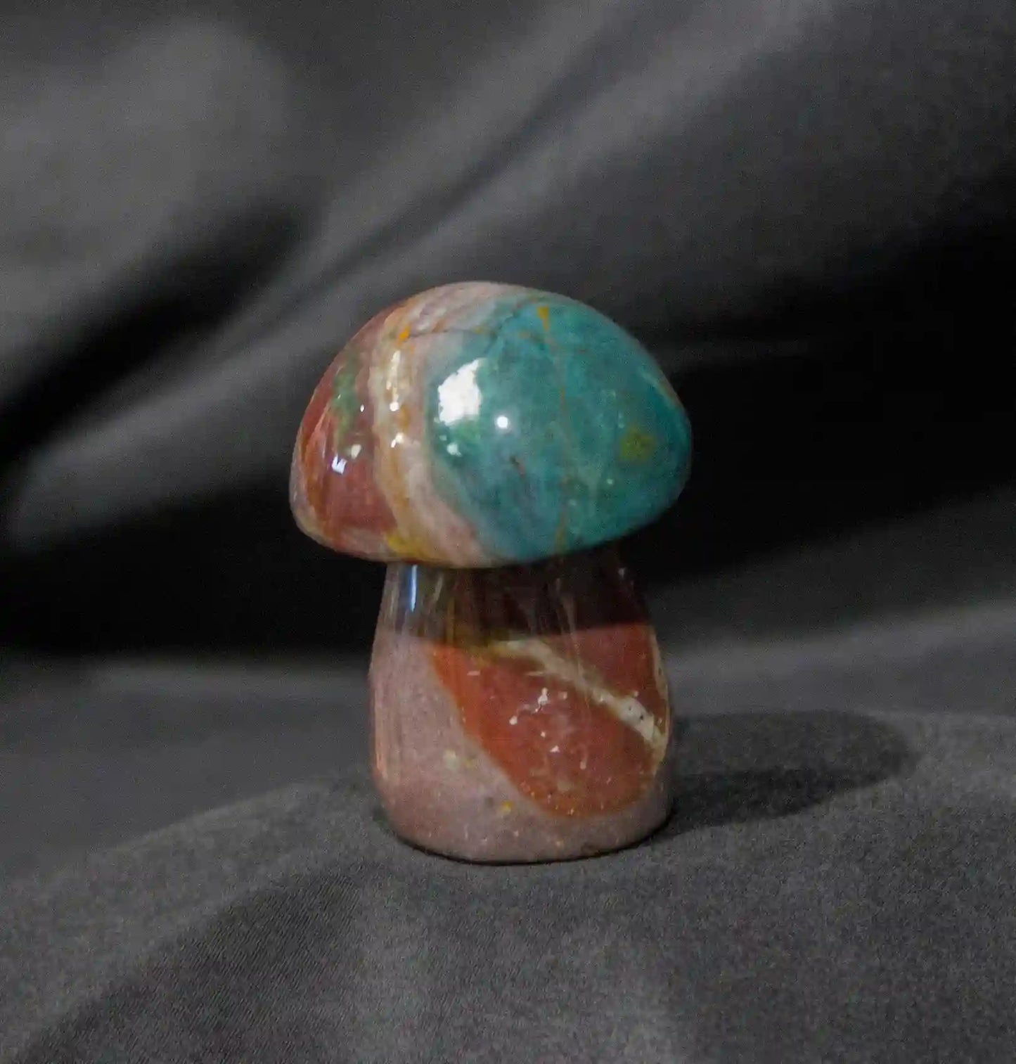 Ocean Jasper Mushroom (B)
