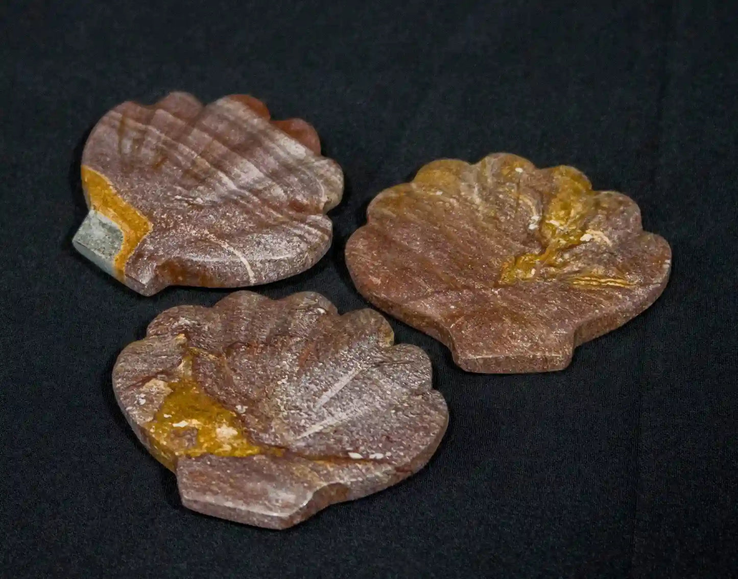 Jasper Sea Shell