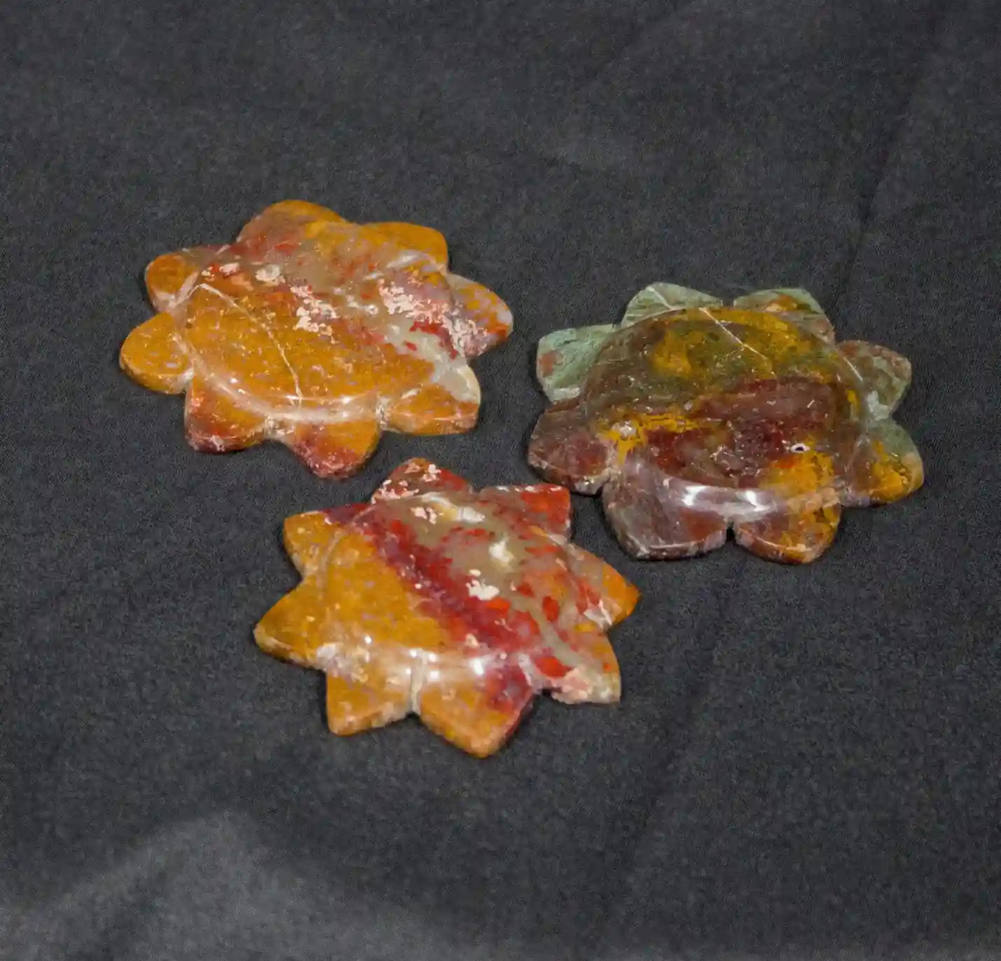 Petrified Wood Sun